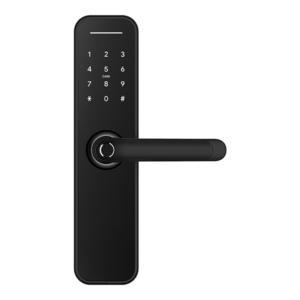 Austyle Digital Smart Entrance Set 59405